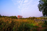 小景