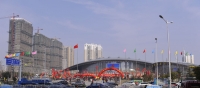 龙飞凤舞庆元宵