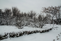 瑞雪闹新春-----龙泉（一）