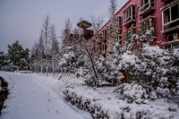 瑞雪闹新春-----龙泉（二）