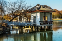 龙湖风光（四）