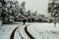 瑞雪闹新春-----龙泉（四）