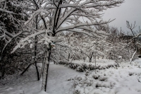 瑞雪闹新春-----龙泉（五）