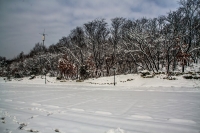 瑞雪闹新春-----泉山湖（一）