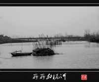 静静的泥河