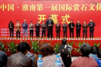 中国淮南第一届国际赏石展（开幕式拍摄花絮）
