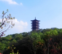 紫蓬山风景