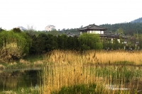 风光小景