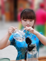 七碗茶瓜片制作评鉴会习作