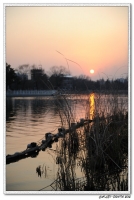 龙湖夕照