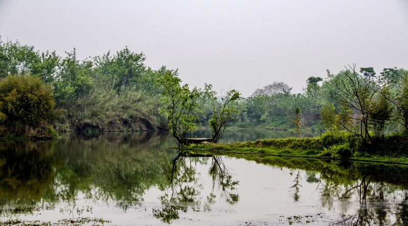 杭州西溪湿地风光(一)
