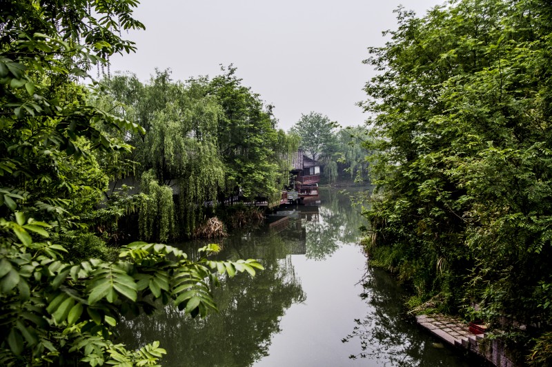 杭州西溪湿地风光(一)