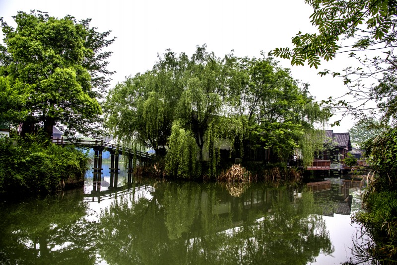 杭州西溪湿地风光(一)