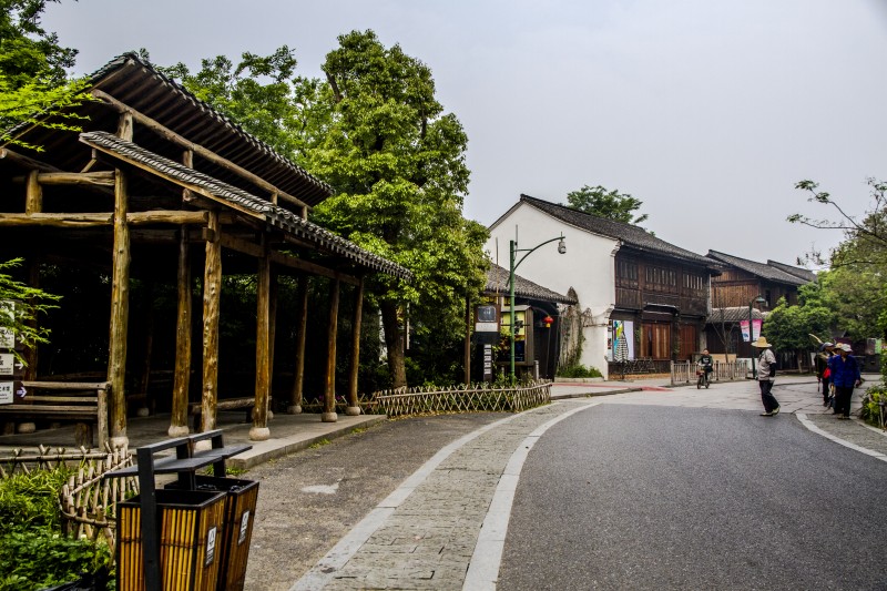 杭州西溪湿地风光(一)
