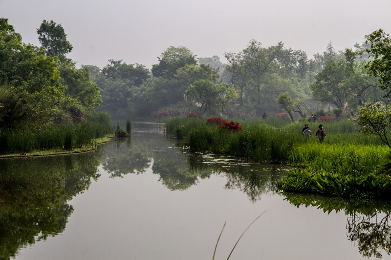 杭州西溪湿地风光(一)