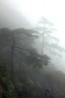 烟雨三清山