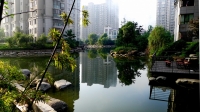小区晨拍