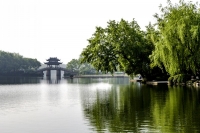 西湖风光（三）