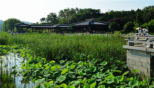 老龙眼水库生态环境修复与开发成效斐然