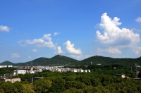 城市之光