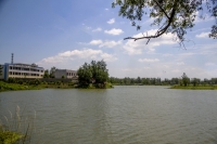 潘集架河风光