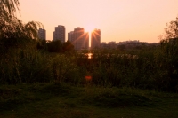 夕阳余晖