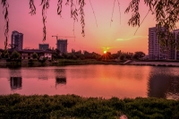 夕阳