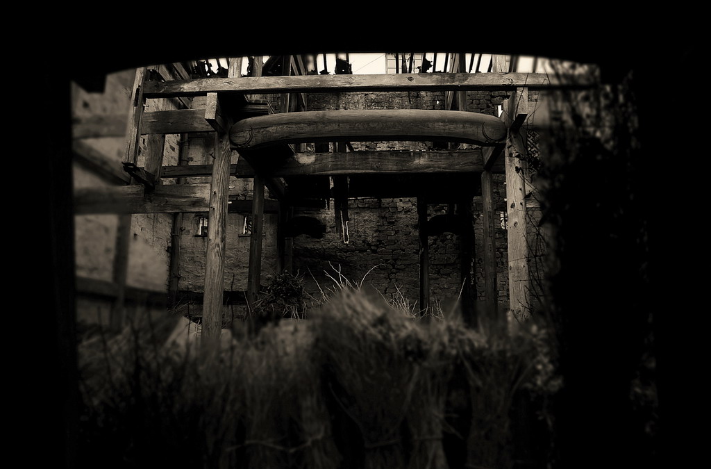 风骨·遗韵——逝去的徽居(组照)