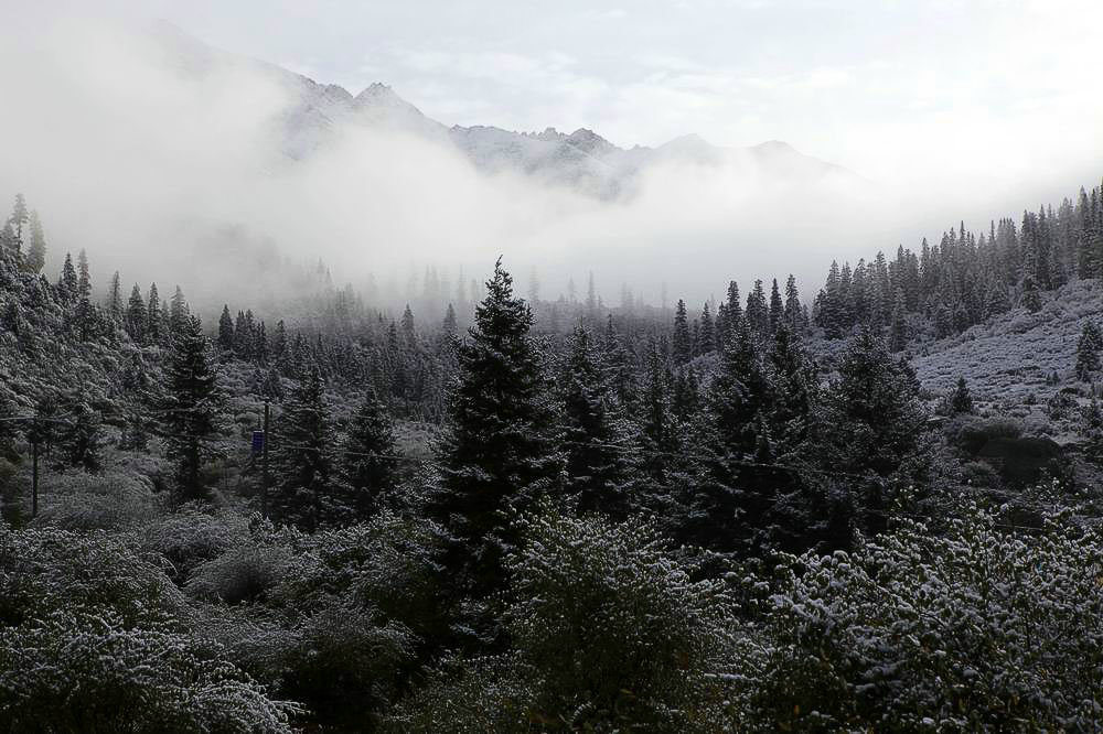 驴行川藏第一险——翻越冰雪覆盖的雀儿山(组照)