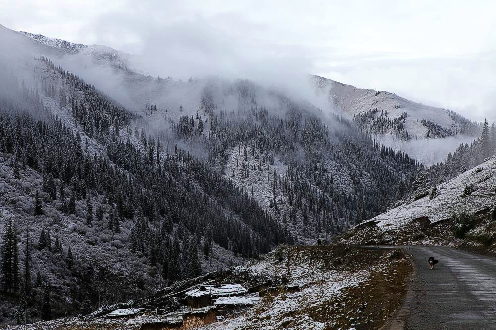 驴行川藏第一险——翻越冰雪覆盖的雀儿山(组照)