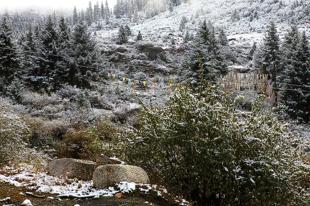 驴行川藏第一险——翻越冰雪覆盖的雀儿山(组照)