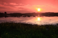 坝上之野鸭湖夕阳