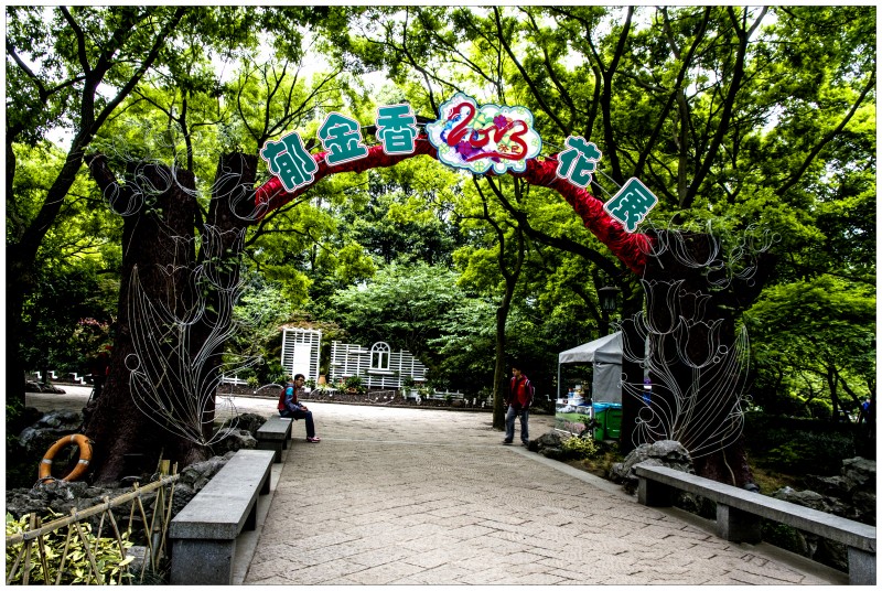 杭州西湖掠影(一)