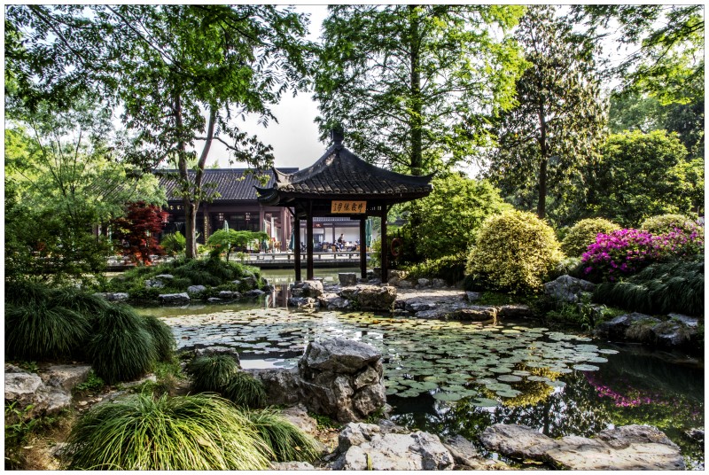 杭州植物园掠影(一)