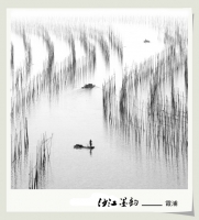 墨韵