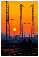 守候夕阳