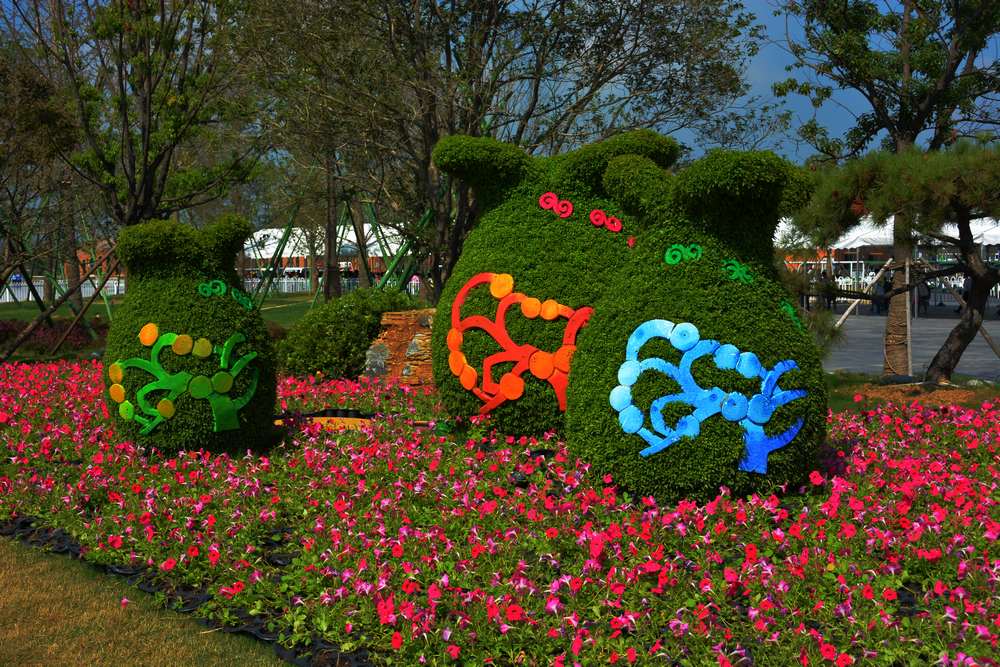 花博会掠影