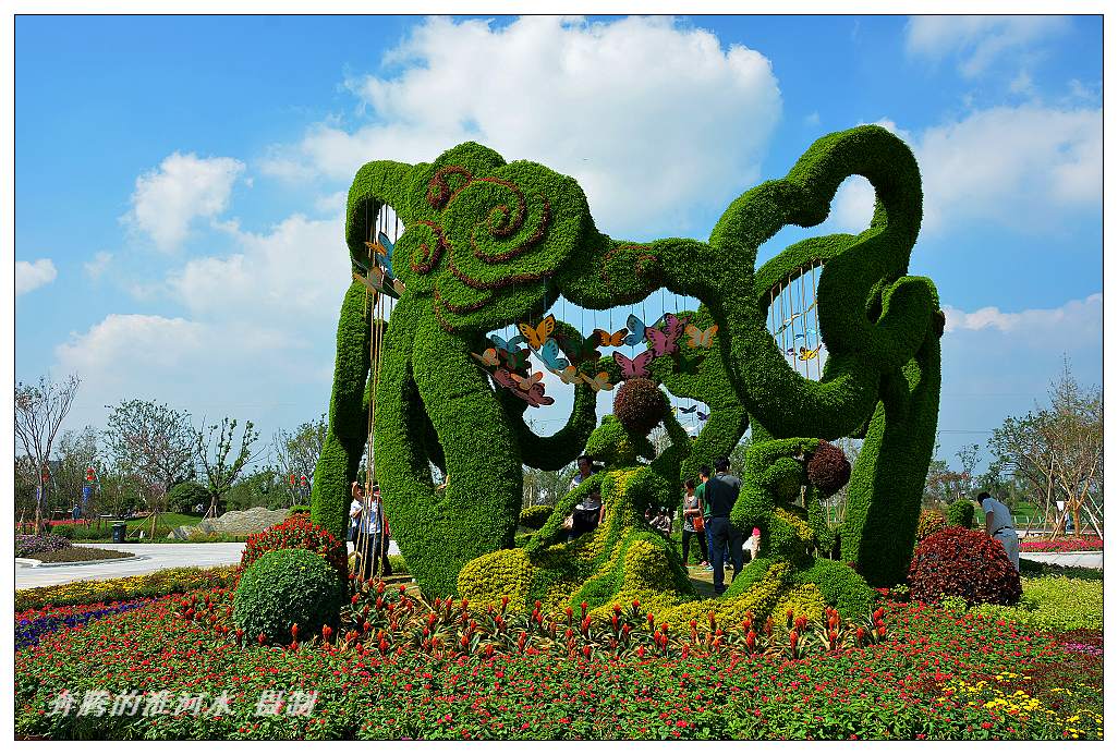 花博会掠影(2)