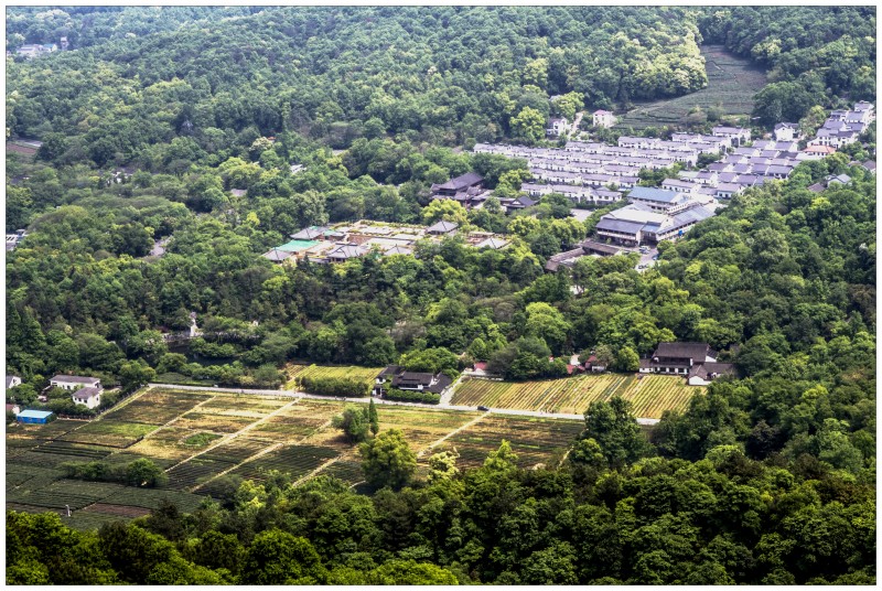 杭州北高峰上随拍