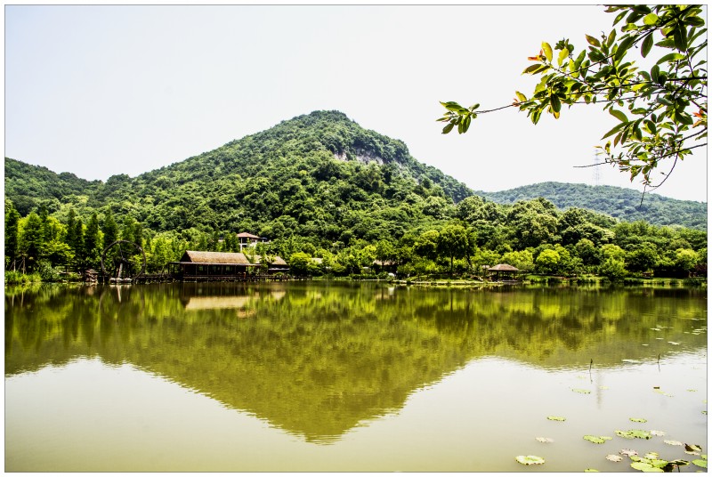 杭州玉皇山公园掠影(一)