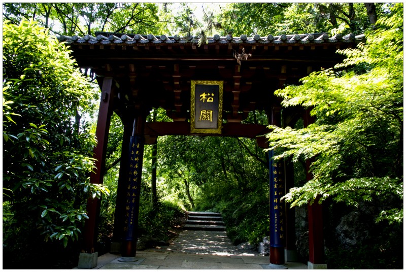 杭州玉皇山公园掠影(一)