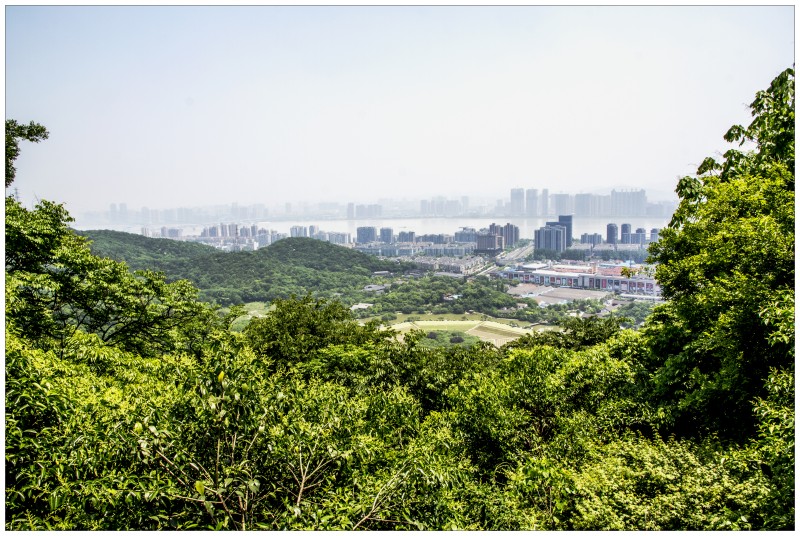 杭州玉皇山公园掠影(一)