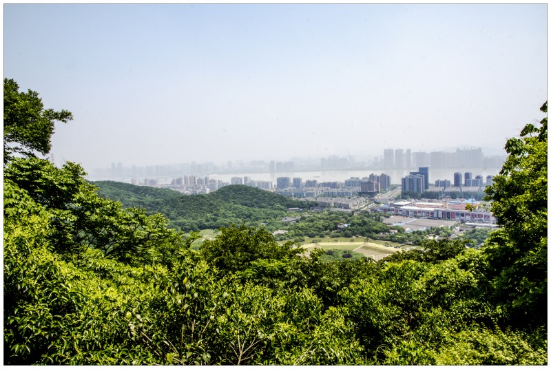 杭州玉皇山公园掠影(一)
