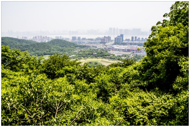 杭州玉皇山公园掠影(一)