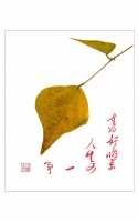 重阳好晚景　人生又一年