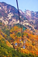 泰山秋色2