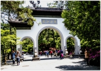 杭州灵瘾寺随拍