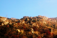 泰山秋色3