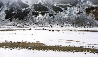 雪域高原帕米尔