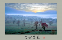 卢村早晨